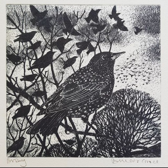 Meet your Posher, Jaron - Picture 1 of 1